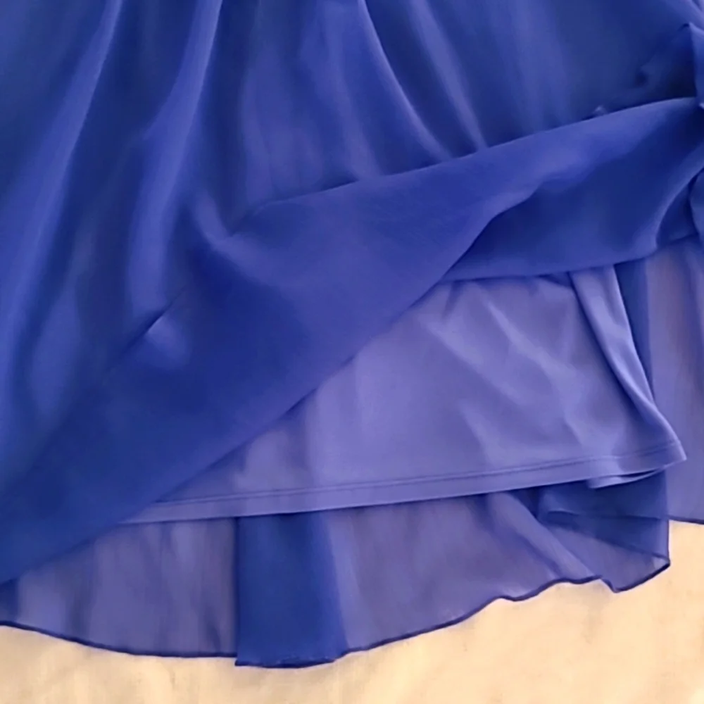 Express Dress - Picture 3 of 5